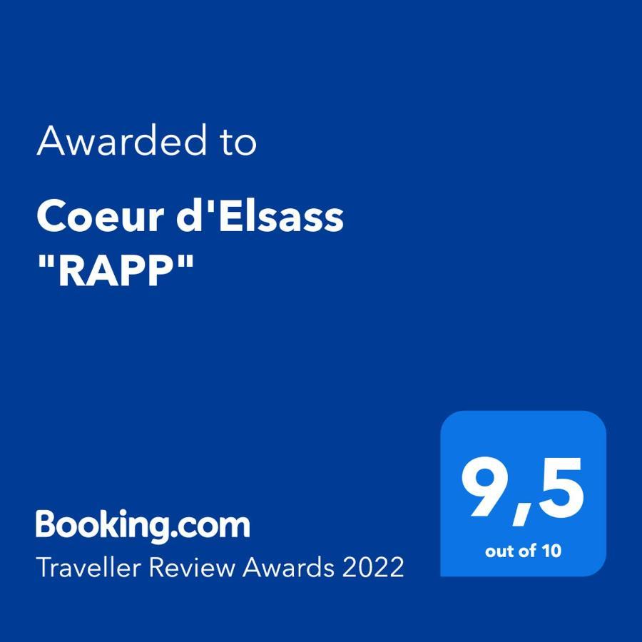 Coeur D'Elsass "Rapp"Appartement Avec Parking Colmar Exterior foto